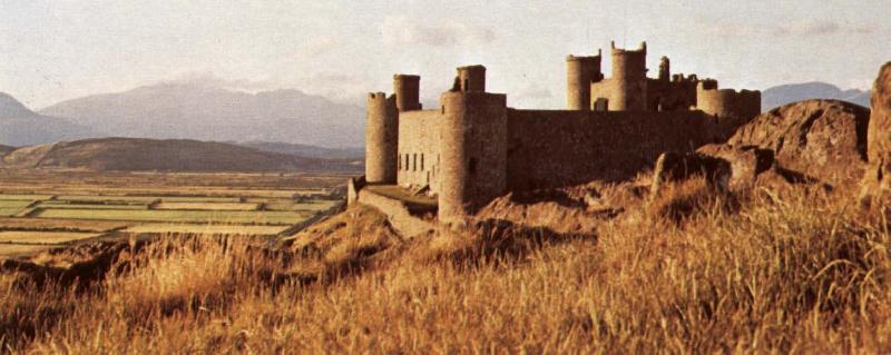 unknow artist Harlech Castle oil painting image